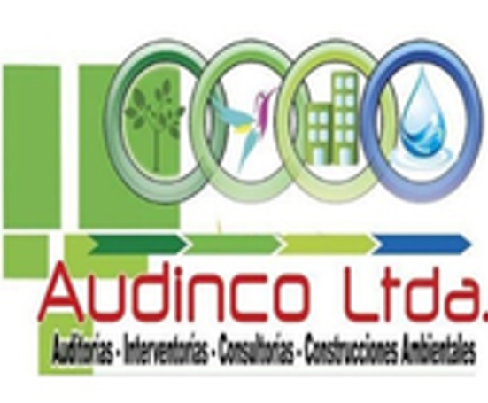 LOGO AUDINCO