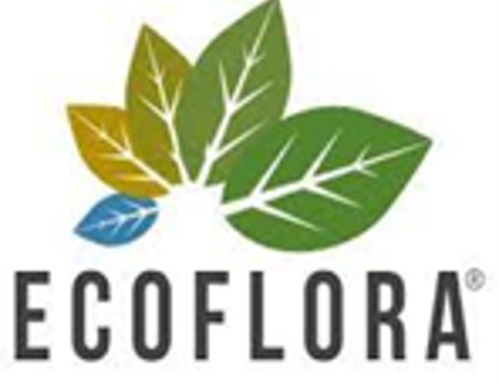 LOGO ECOFLORA